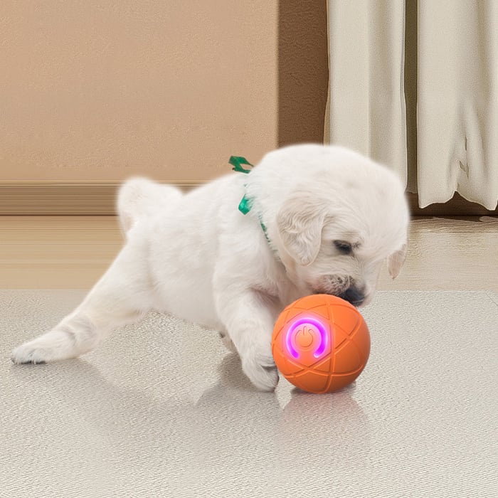 Auto‑Bouncing Smart Pet Ball with Remote Control